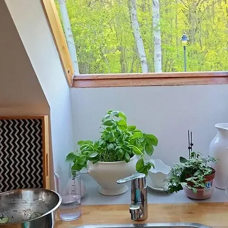Am Mit Garten *