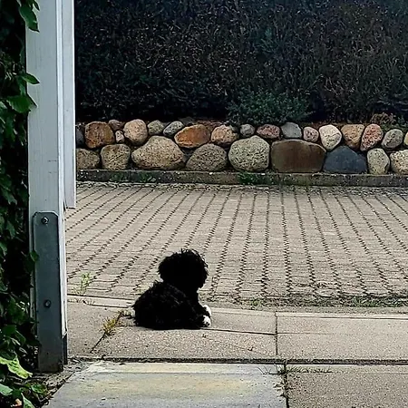 Am Mit Garten شقة